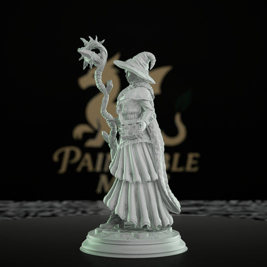 Human Wizard Magic User | Medium | DM Stash | D&D DnD Pathfinder Miniature