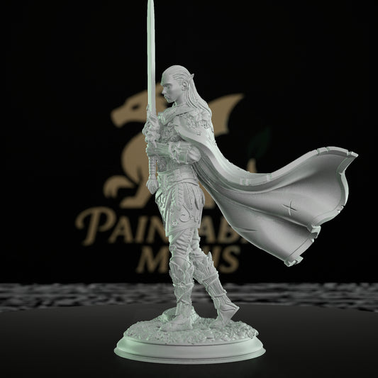 Feywalker Elf Swordsman Warrior | Medium | DM Stash | D&D DnD Pathfinder Miniature