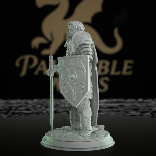 Human Fighter Ornate Armor Sword Shield | Medium | DM Stash | D&D DnD Pathfinder Miniature