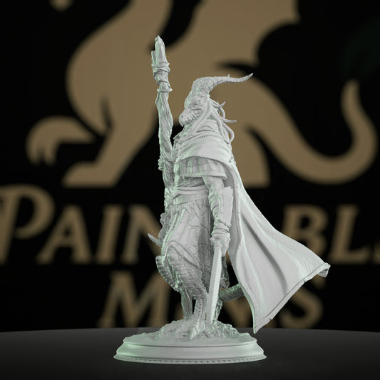 Lizardfolk Sorcerer Spellcaster Draconic Motifs | Medium | DM Stash | D&D DnD Pathfinder Miniature