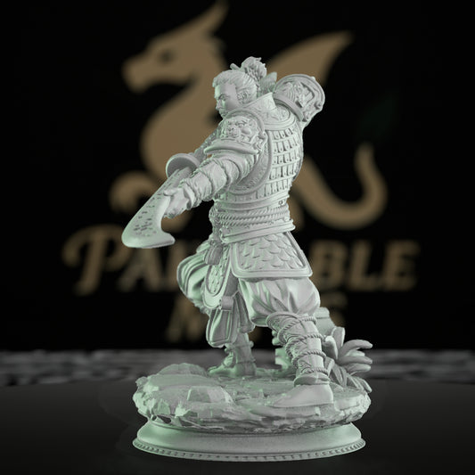 Awakened Warrior Fighter Human Swordsman | Medium | DM Stash | D&D DnD Pathfinder Miniature
