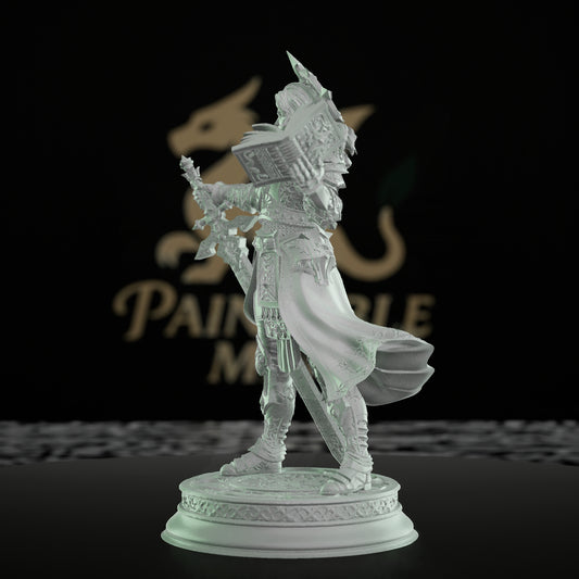 Paladin Warrior Cleric Miniature | Medium | DM Stash | D&D DnD Pathfinder Miniature