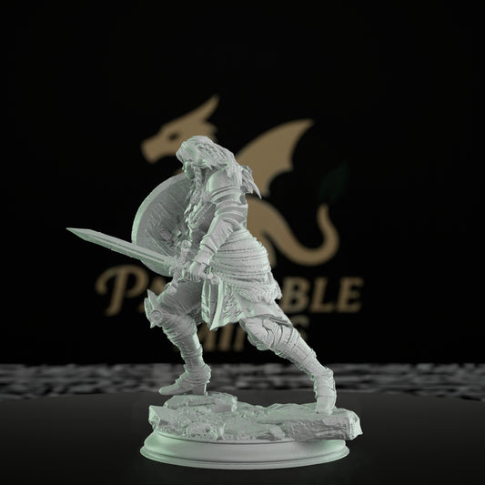 Shieldmaiden Fighter Warrior Miniature | Medium | DM Stash | D&D DnD Pathfinder Miniature