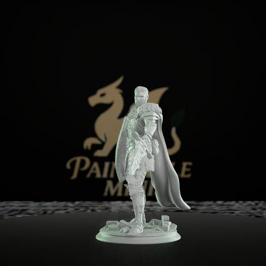 Paladin Sword Shield Warrior | Medium | DM Stash | D&D DnD Pathfinder Miniature