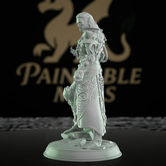 High Elf Arcane Mage Miniature | Medium | DM Stash | D&D DnD Pathfinder Miniature