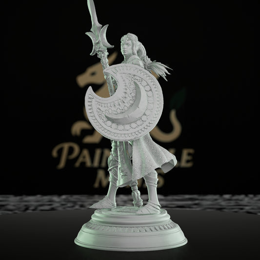 Half-Drow Cleric Spellcaster D&D | Medium | DM Stash | D&D DnD Pathfinder Miniature