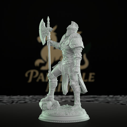 Knight Bodyguard Guard Pose Fighter | Medium | DM Stash | D&D DnD Pathfinder Miniature