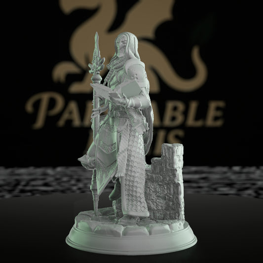 Sintrius Soulforged Wizard Miniature | Dungeons and Dragons Mini | RPG Tabletop Miniature DnD Painting Pathfinder DnD