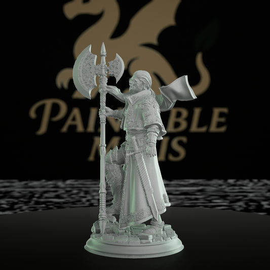 Inquisitor Warrior Miniature | Dungeons and Dragons Model | Tabletop RPG Figurine