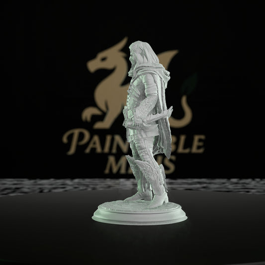 Elven Rogue RPG Miniature | Medium | DM Stash | D&D DnD Pathfinder Miniature