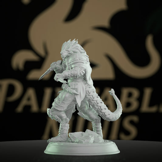 Dragonkin Rogue Fantasy Miniature | Medium | DM Stash | D&D DnD Pathfinder Miniature