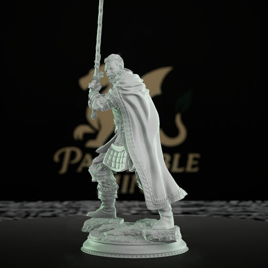 Field Marshal Warrior Fighter Miniature | Medium | DM Stash | D&D DnD Pathfinder Miniature