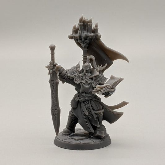 Paladin Heroic Leader Greatsword Spellbook | Medium | Artisan Guild | D&D DnD Pathfinder Miniature