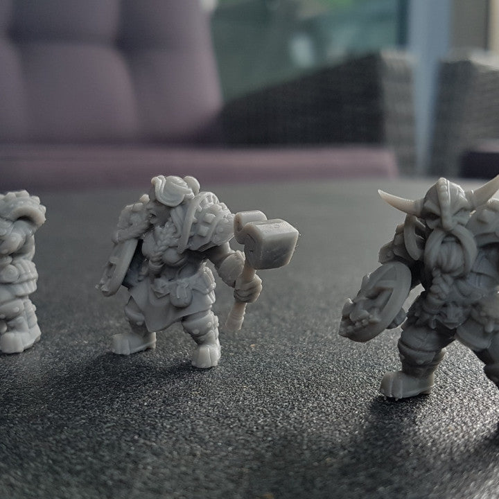 Dwarven Defender - Guard (25mm Base)