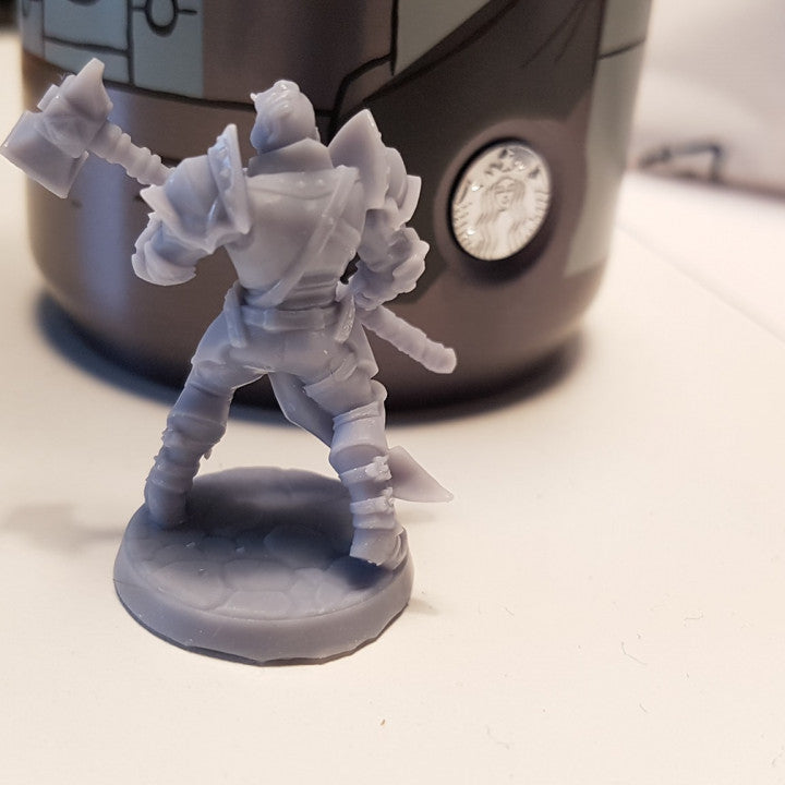 Human Fighter - Battle Ready (25mm Base)