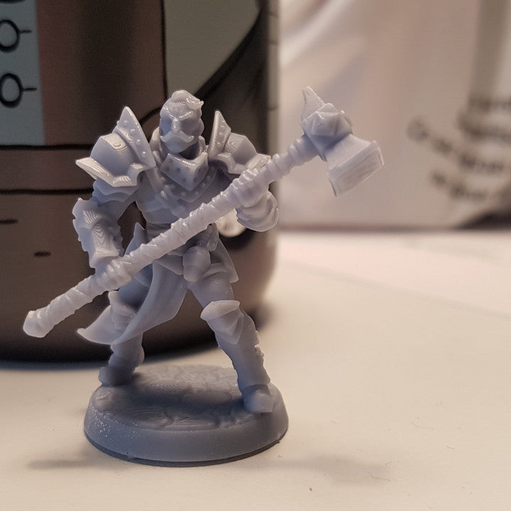 Human Fighter - Battle Ready (25mm Base)
