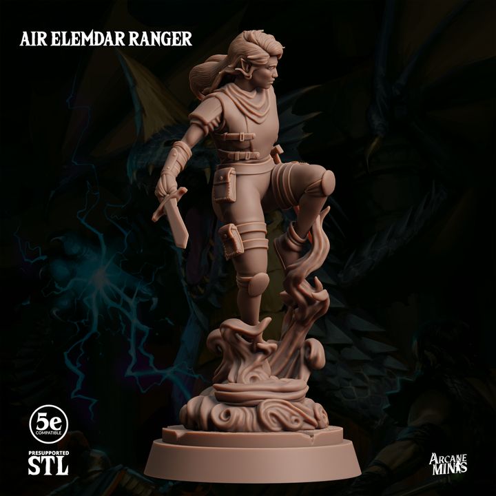 Air Elemdar Ranger - Dual Wield (25mm Base)