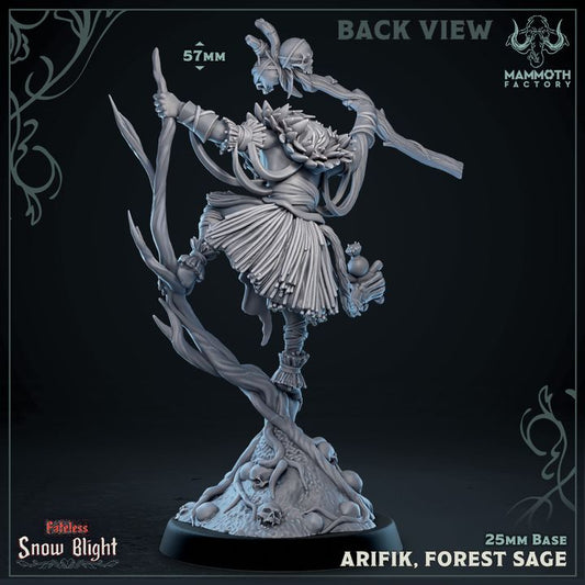 Baboon Druid Forest Sage | Medium | Mammoth Factory | D&D DnD Pathfinder Miniature