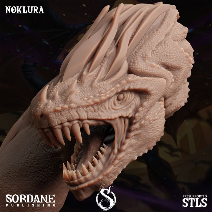 Noklura - Coiling (50mm Base)