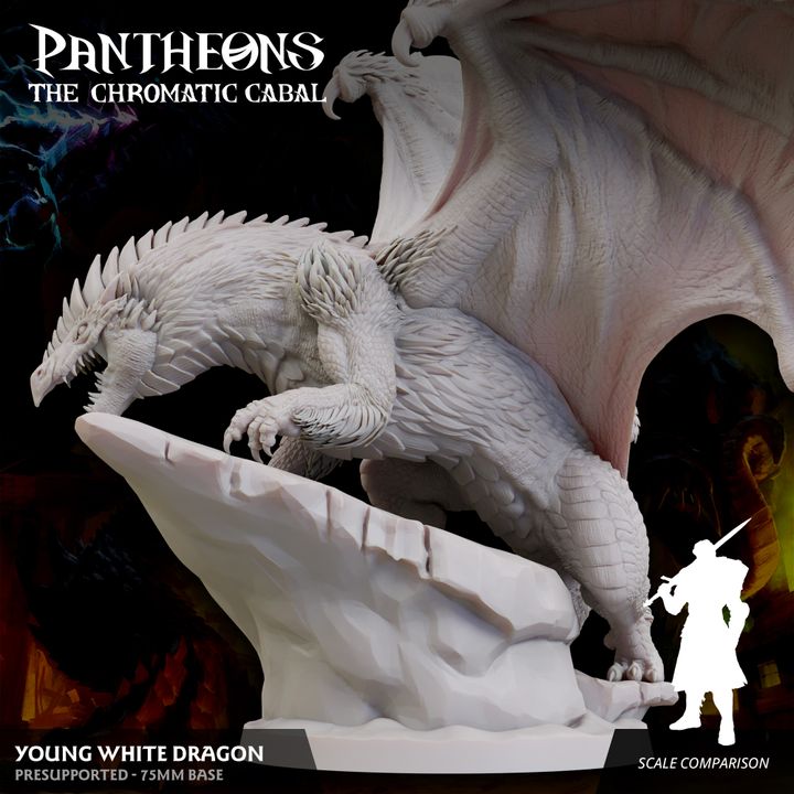 Young White Dragon - Roaring (75mm Base)