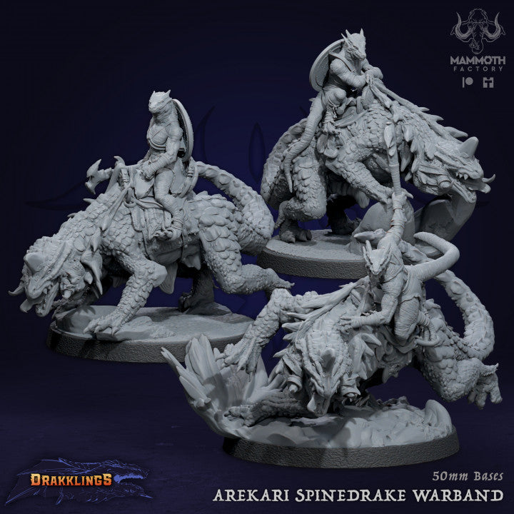Arekari Spinedrake Dragon Riders | Large | Mammoth Factory | D&D DnD Pathfinder Miniature