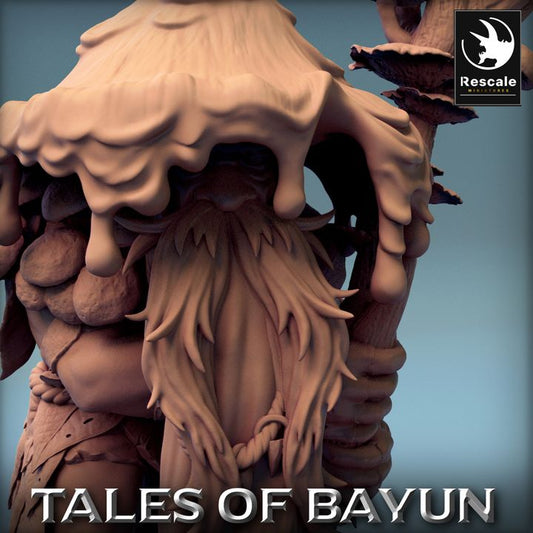 Gnome Forest Druid Hermit Miniature | Medium | Rescale Miniatures | D&D DnD Pathfinder Miniature