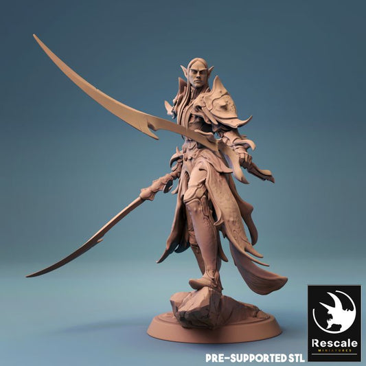 Elf Guard Paladin Fighter Blades | Medium | Rescale Miniatures | D&D DnD Pathfinder Miniature