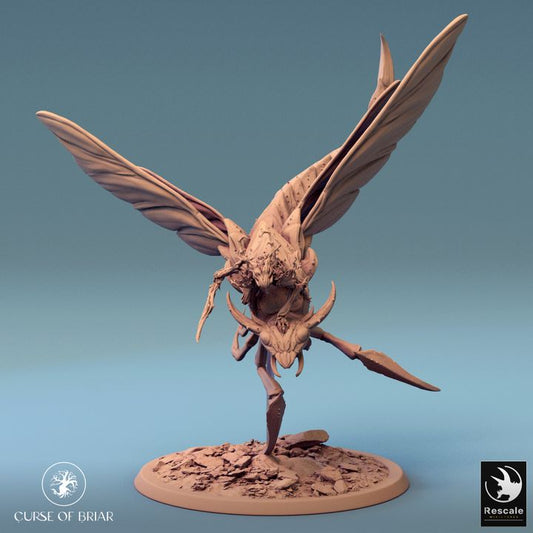 Collection Sky Cutter Insectoid Monstrosities | Large | Rescale Miniatures | D&D DnD Pathfinder Miniature