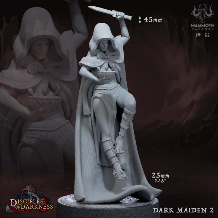 Dark Maidens Rogue Assassin Elf | Medium | Mammoth Factory | D&D DnD Pathfinder Miniature