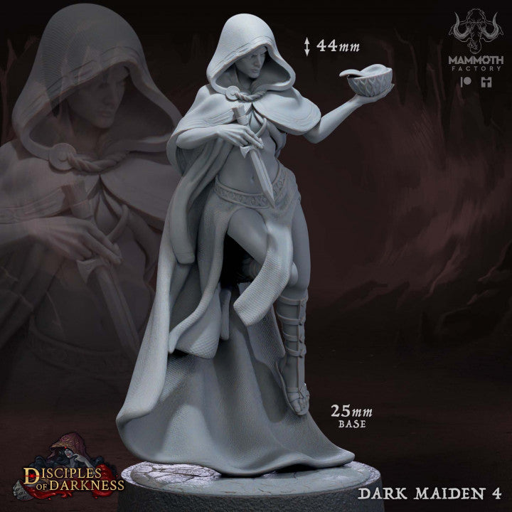 Dark Maidens Rogue Assassin Elf | Medium | Mammoth Factory | D&D DnD Pathfinder Miniature