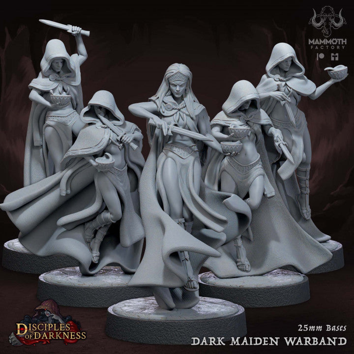 Dark Maidens Rogue Assassin Elf | Medium | Mammoth Factory | D&D DnD Pathfinder Miniature