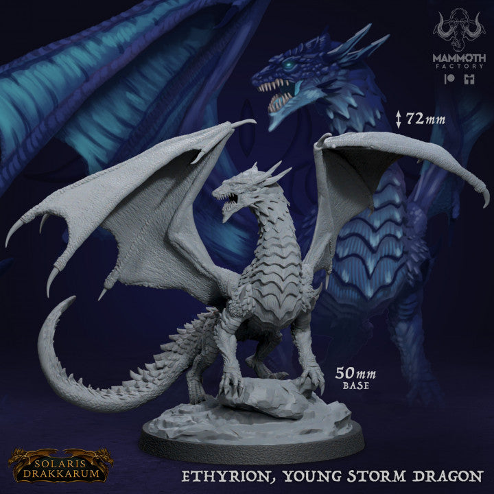 Ethyrion, Young Storm Dragon - Guard (50mm Base)