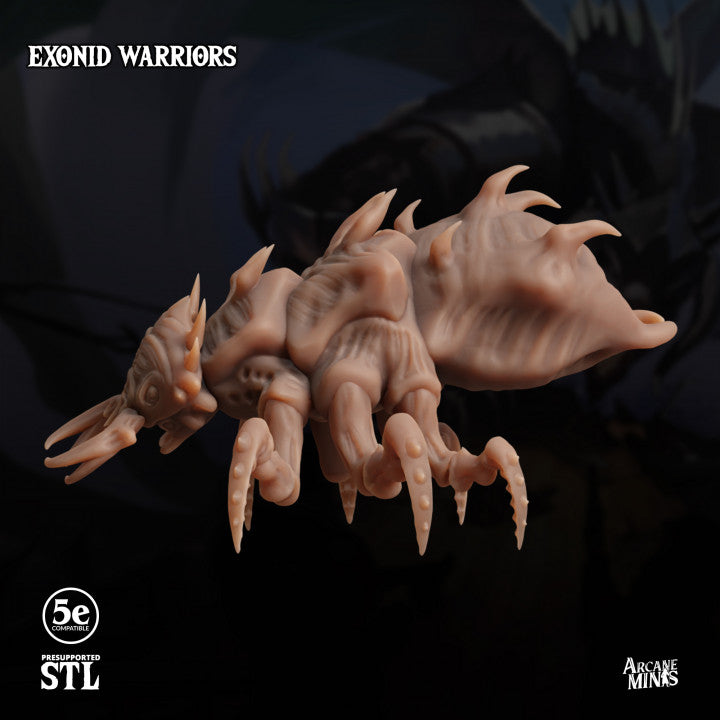 Exonid Warrior - Advance (50mm Base)