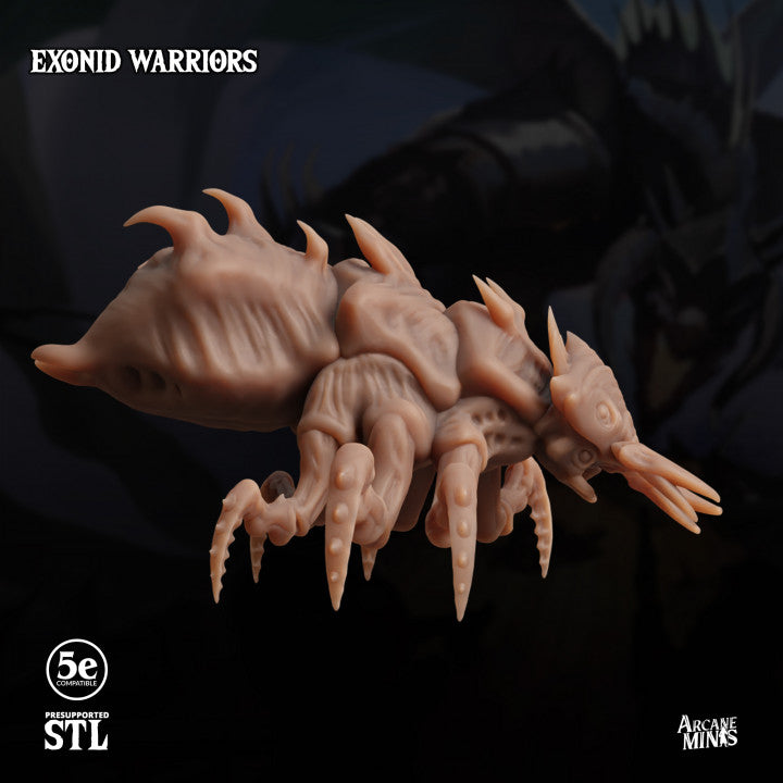 Exonid Warrior - Advance (50mm Base)