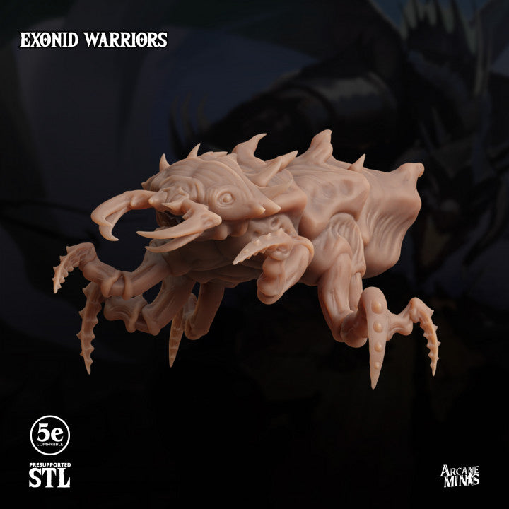 Exonid Warrior - Advance (50mm Base)