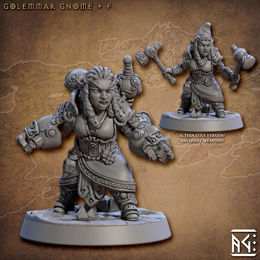 Gnome Sorcerer Artificer Constructs | Medium | Artisan Guild | D&D DnD Pathfinder Miniature