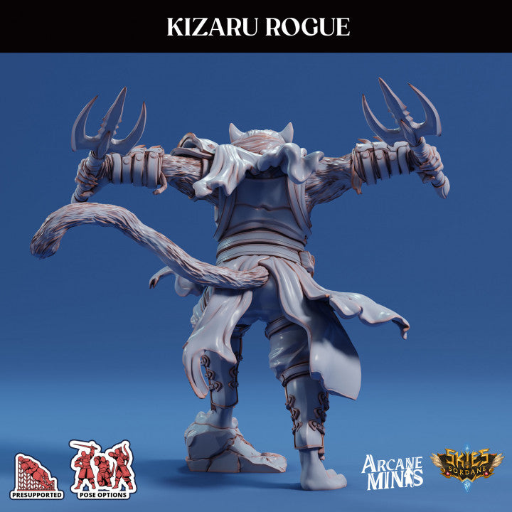 Kizaru Rogue - Armed (25mm Base)