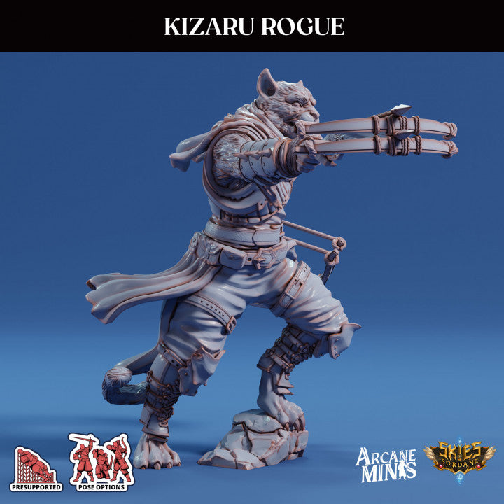 Kizaru Rogue - Armed (25mm Base)