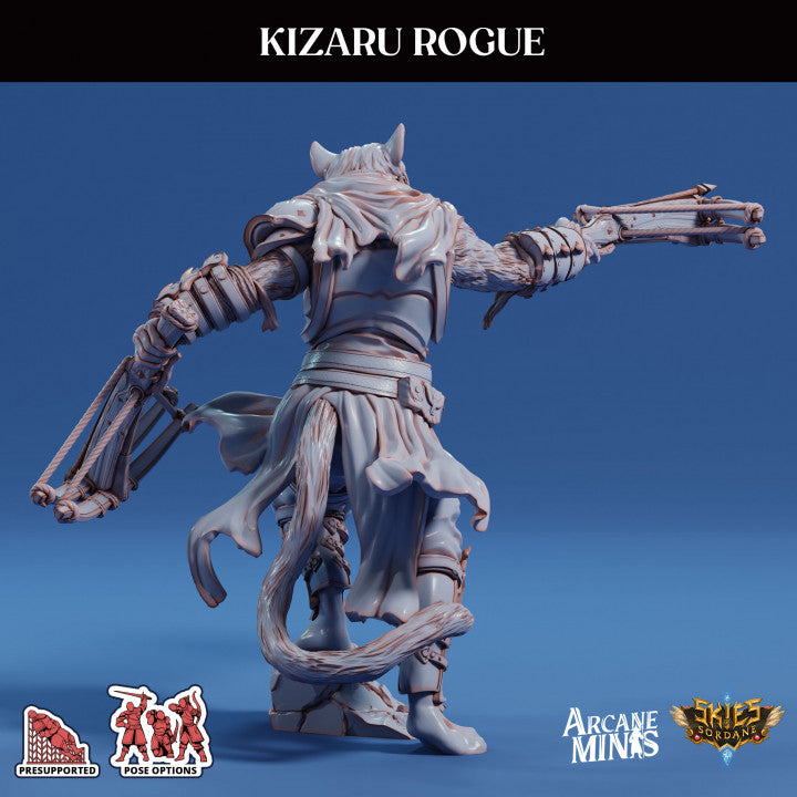 Kizaru Rogue - Armed (25mm Base)