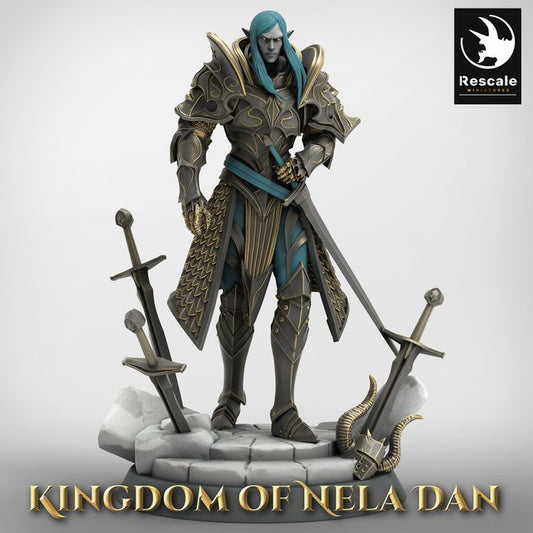 Elven Commander Warrior Leader | Medium | Rescale Miniatures | D&D DnD Pathfinder Miniature