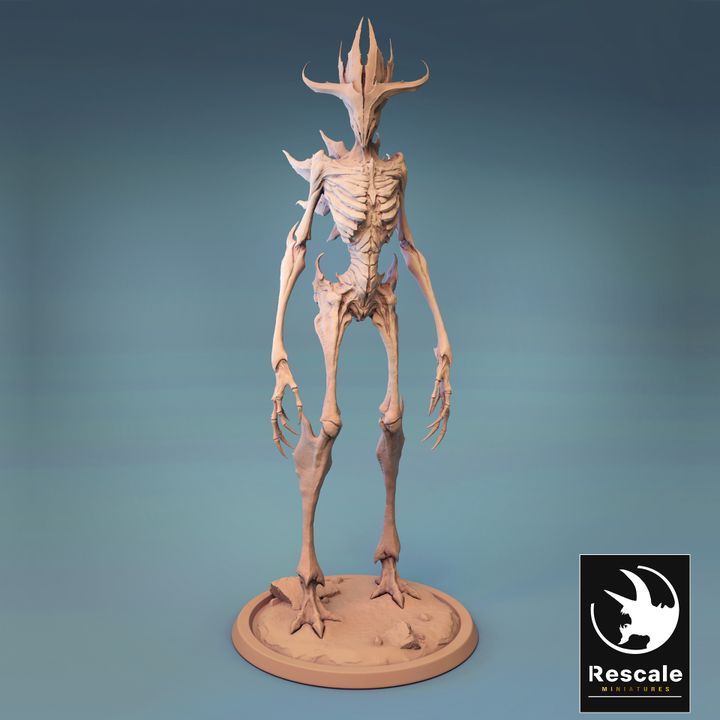Mantis - Standing (50mm Base)