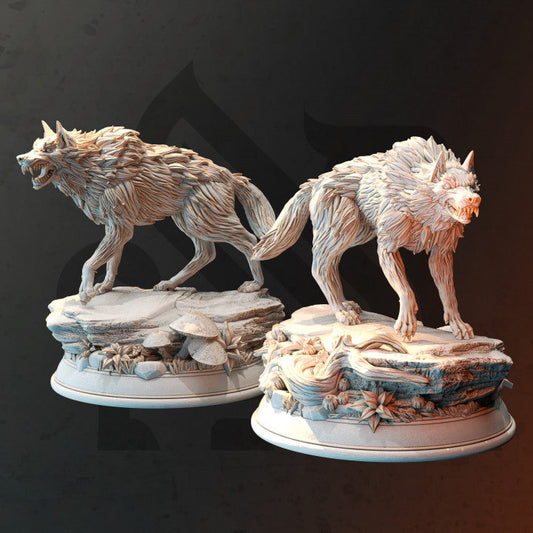 Northern Direwolf Pack Beasts | Medium | DM Stash | D&D DnD Pathfinder Miniature