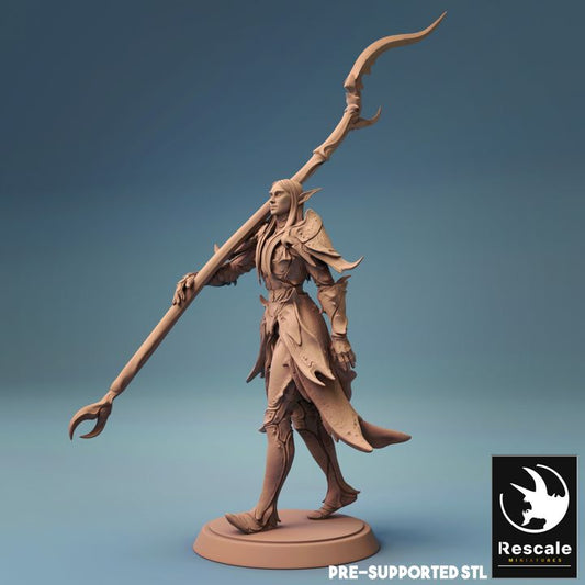 Elf Warrior Spearman Fighter | Medium | Rescale Miniatures | D&D DnD Pathfinder Miniature