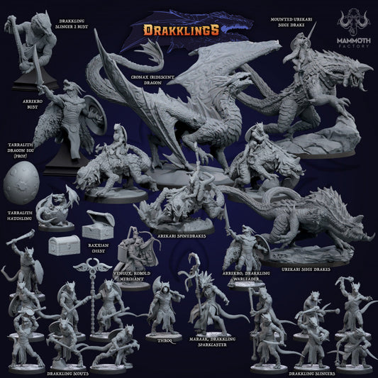 Draconic Sorcerer Elemental Magic Dragonborn | Medium | Mammoth Factory | D&D DnD Pathfinder Miniature