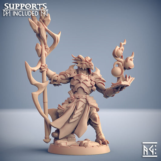 Dragonborn Battlemage Sorcerer Guard | Medium | Artisan Guild | D&D DnD Pathfinder Miniature