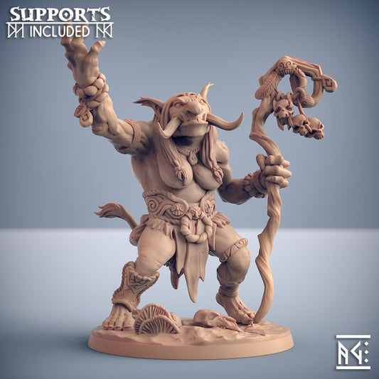 Troll Hag Sorcerer Staff Ritual | Large | Artisan Guild | D&D DnD Pathfinder Miniature