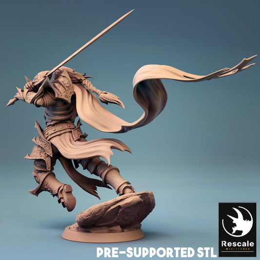 Necromancer Warrior Cloaked Sword | Medium | Rescale Miniatures | D&D DnD Pathfinder Miniature