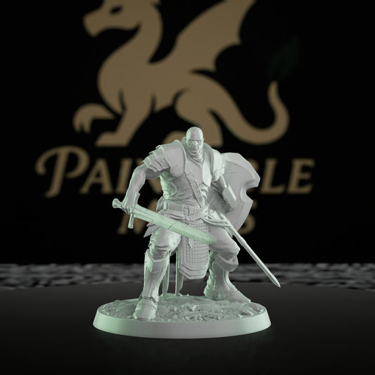 Collection Knight Valor Paladin Miniature | Medium | Rescale Miniatures | D&D DnD Pathfinder Miniature