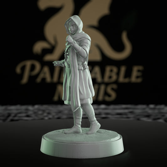 Rogue Stealth Cloak Model | Medium | Mammoth Factory | D&D DnD Pathfinder Miniature