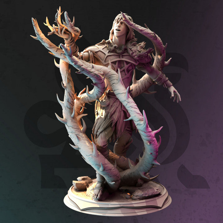 Druid